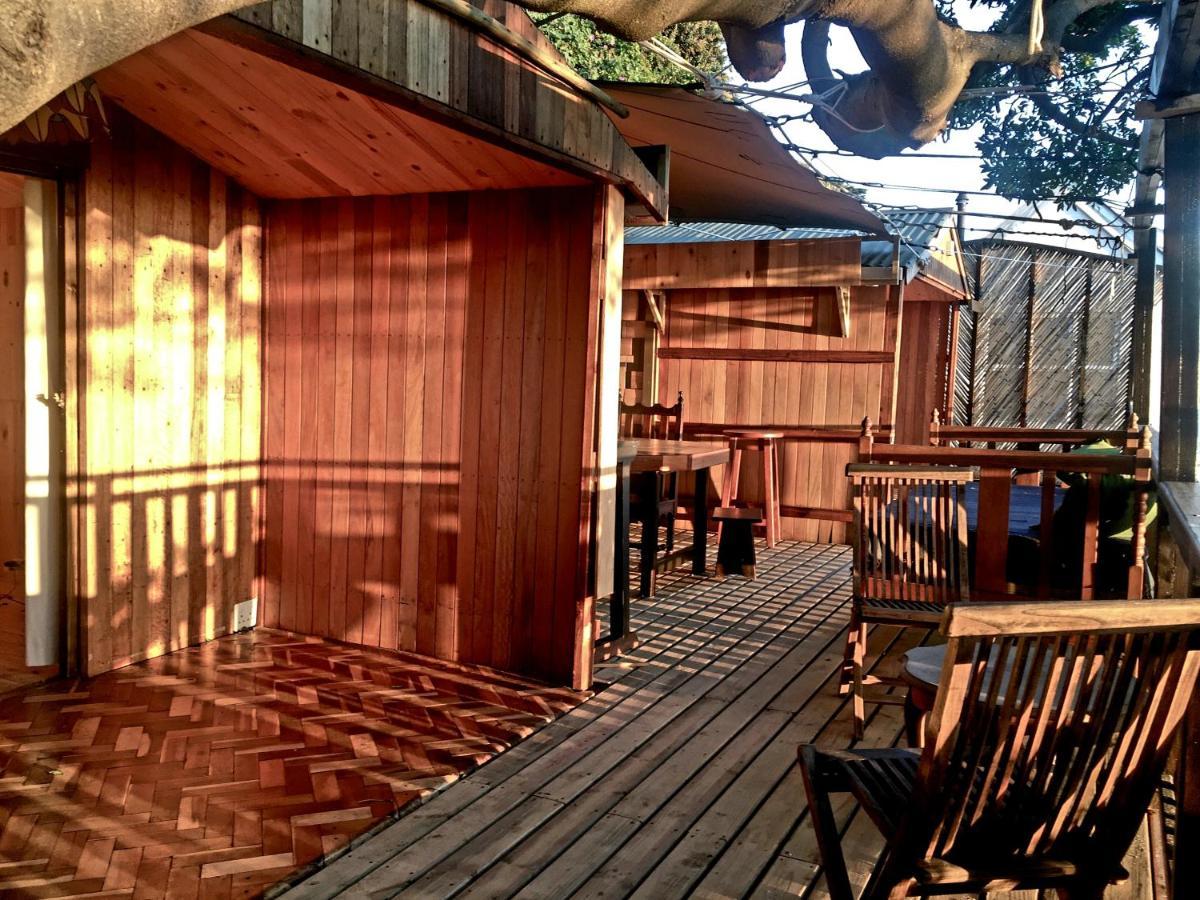 Scarborough Nature Lodge كيب تاون المظهر الخارجي الصورة
