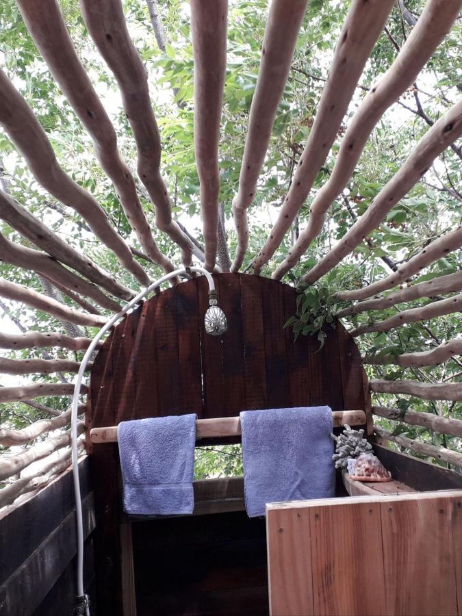 Scarborough Nature Lodge كيب تاون المظهر الخارجي الصورة