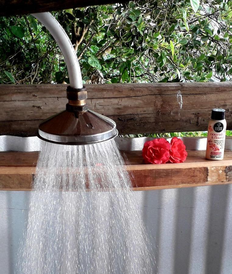 Scarborough Nature Lodge كيب تاون المظهر الخارجي الصورة